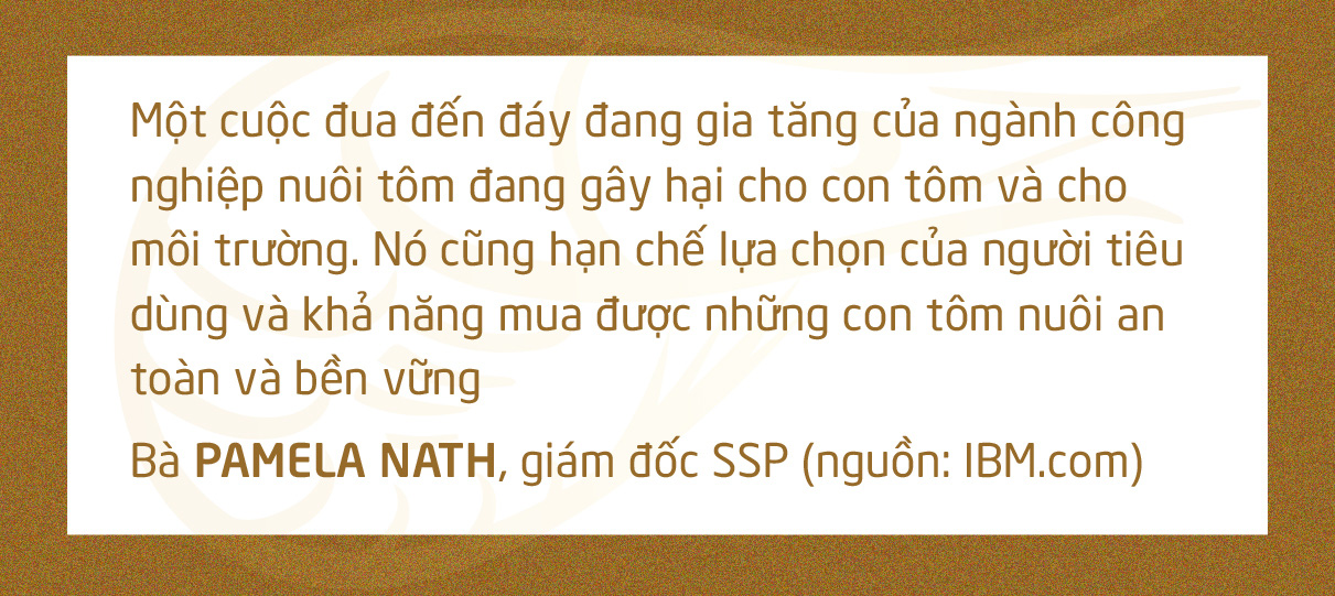 Chuyện gì đang xảy ra với con tôm Việt Nam? - Ảnh 24.