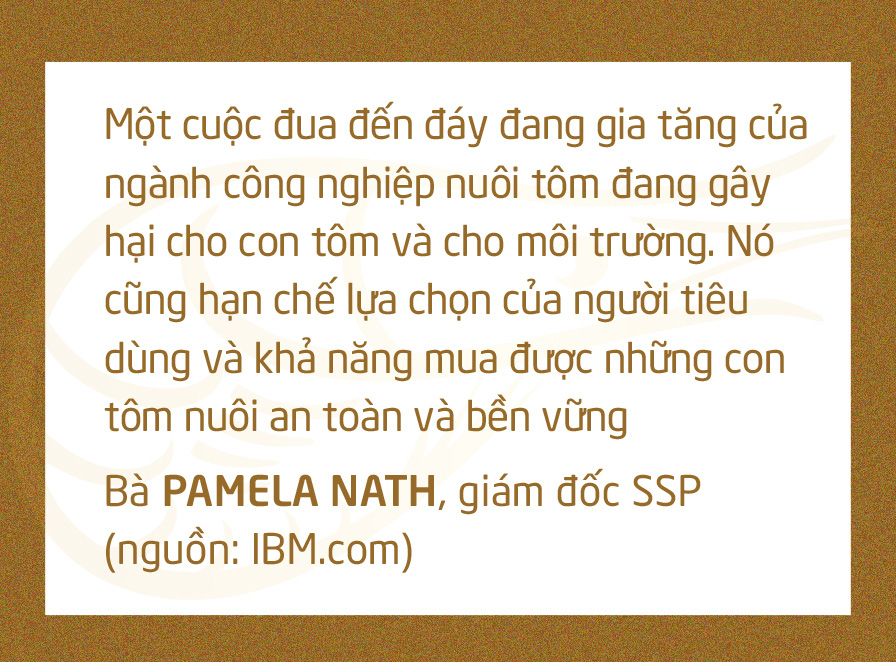 Chuyện gì đang xảy ra với con tôm Việt Nam? - Ảnh 24.