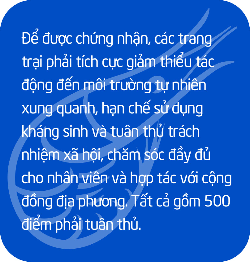 Chuyện gì đang xảy ra với con tôm Việt Nam? - Ảnh 26.