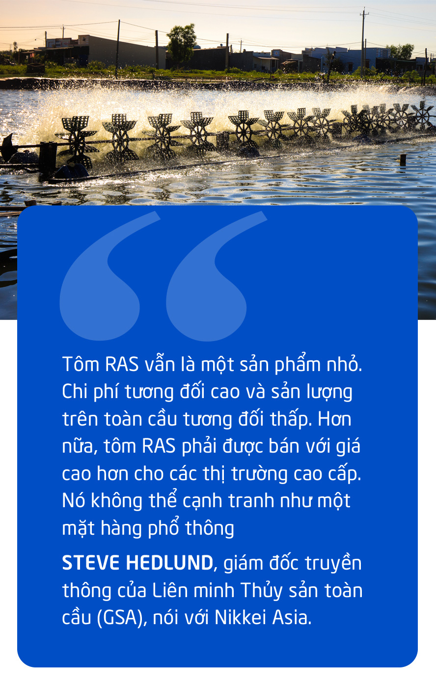 Chuyện gì đang xảy ra với con tôm Việt Nam? - Ảnh 28.