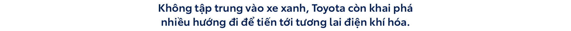 Toyota: Nhiều giải pháp cho điện khí hóa - Ảnh 1.