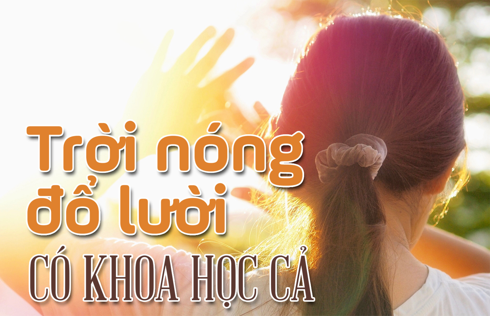 Vì sao mùa hè làm ta lười biếng - Ảnh 5.