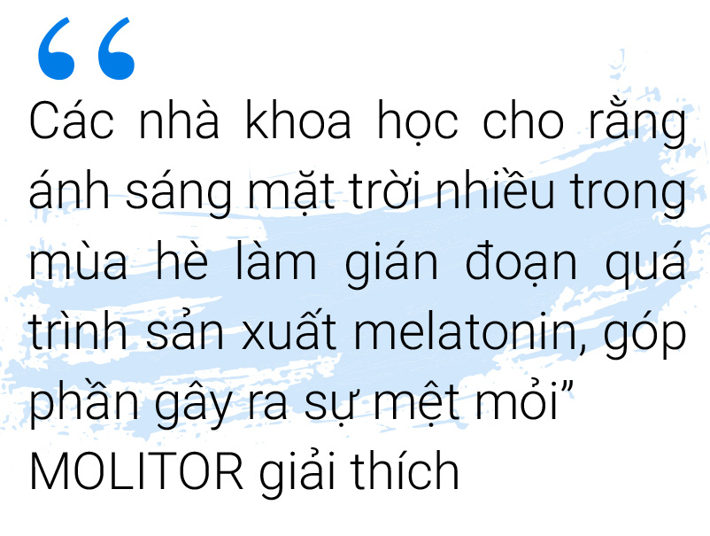 Vì sao mùa hè làm ta lười biếng - Ảnh 6.