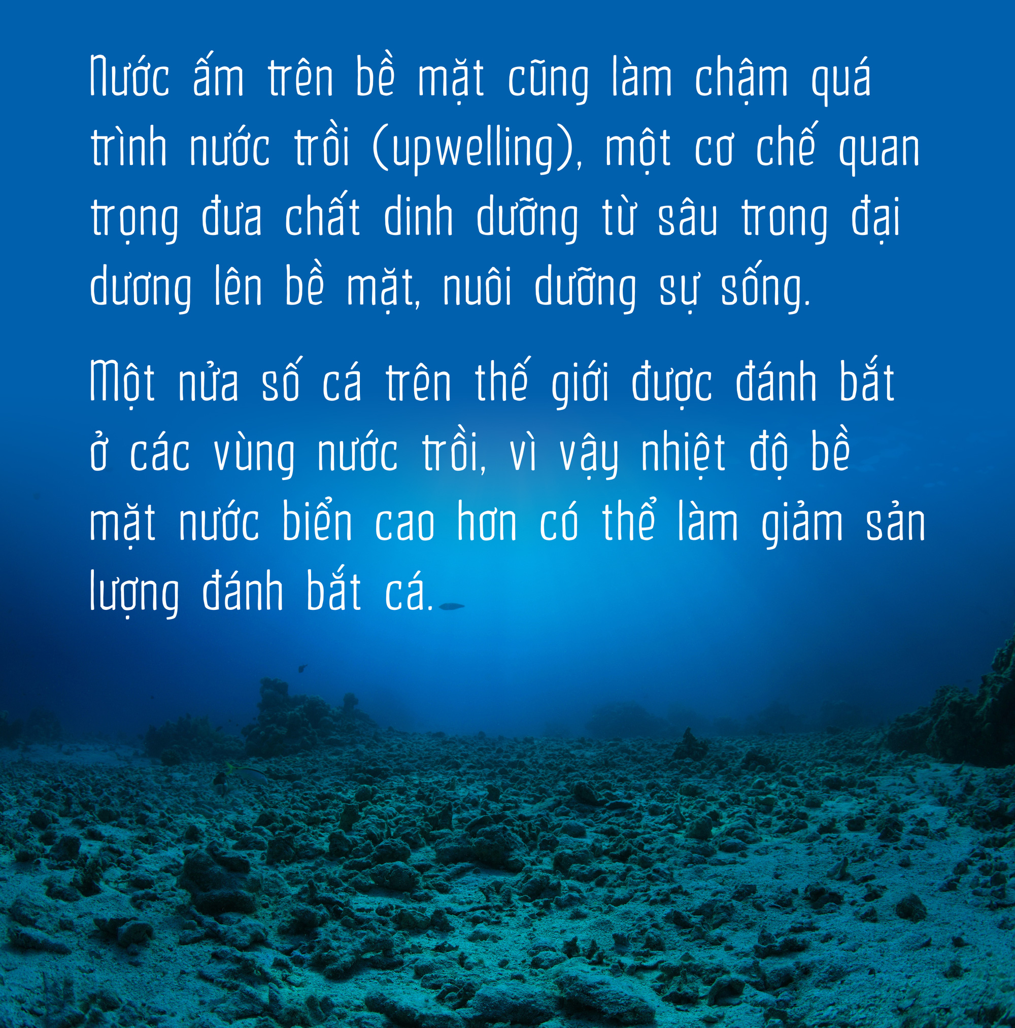 Biển nóng, Trái đất đổ mồ hôi - Ảnh 10.