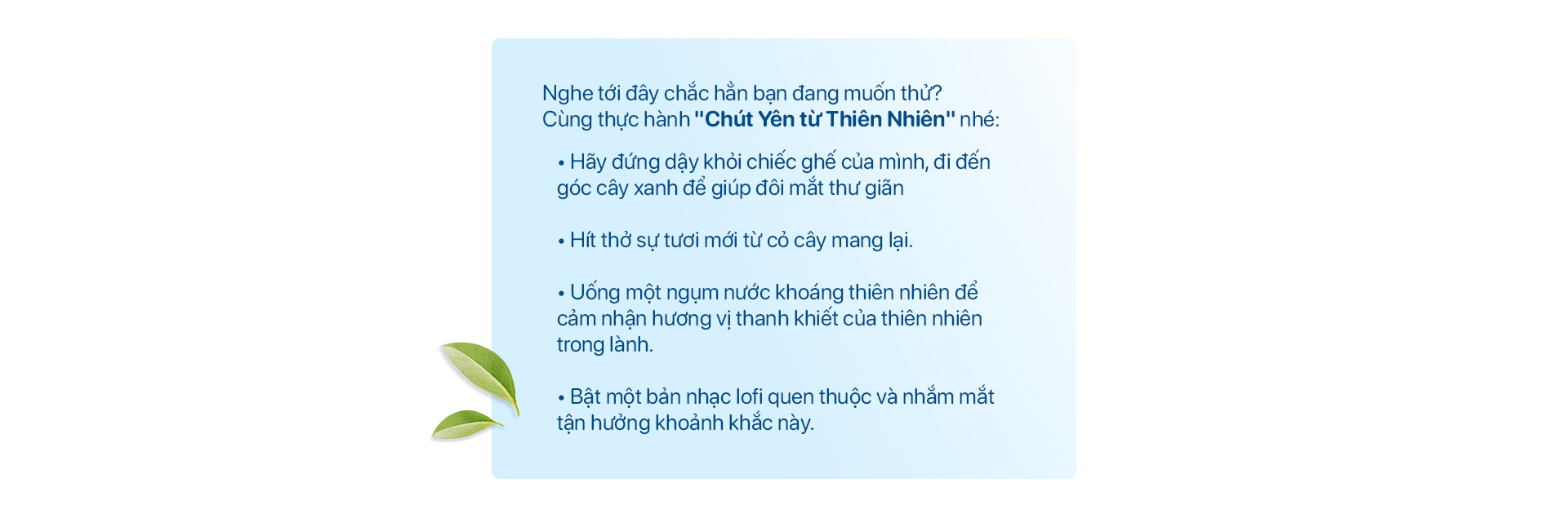 Xu hướng Chút Yên từ Thiên Nhiên tưởng chừng sẽ lạ mà quen - Ảnh 4.