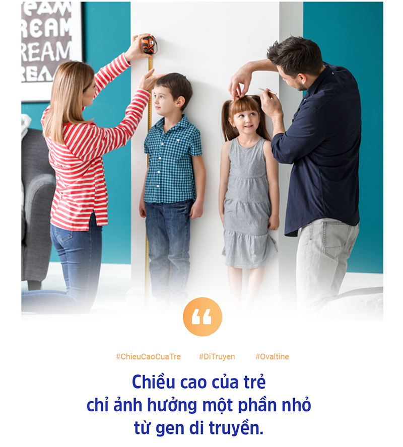 Chiều cao phụ thuộc phần lớn vào di truyền? - Ảnh 1.
