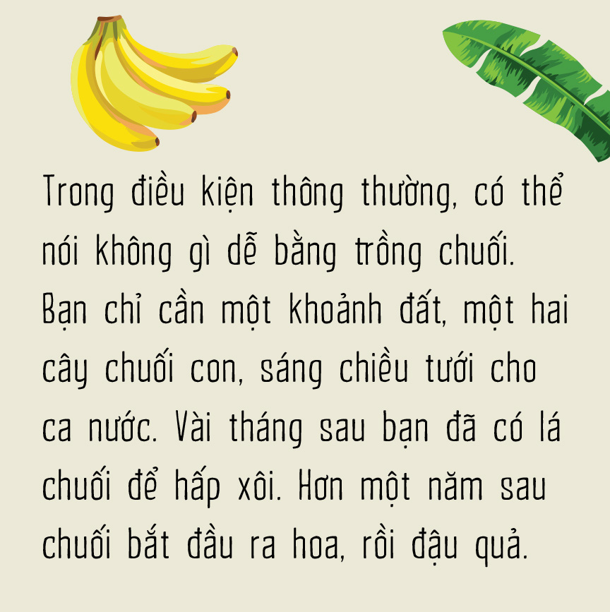 Chuối - Người khổng lồ khiêm tốn sau vườn nhà - Ảnh 6.