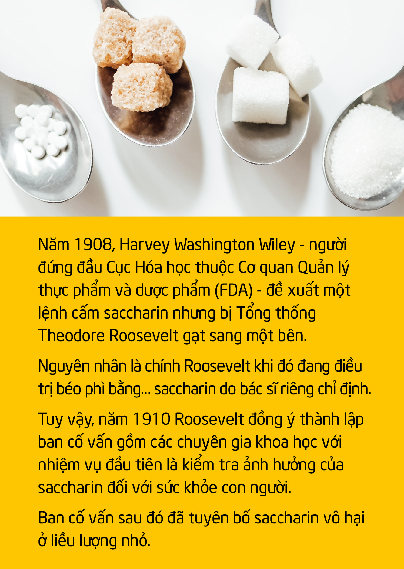 Trăm năm làm ngọt thay đường - Ảnh 7.