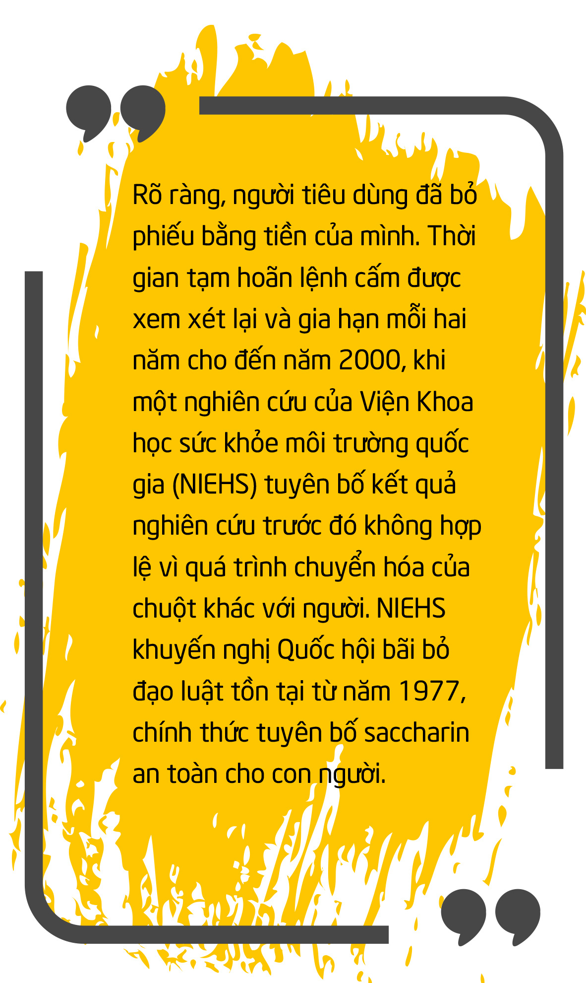 Trăm năm làm ngọt thay đường - Ảnh 11.