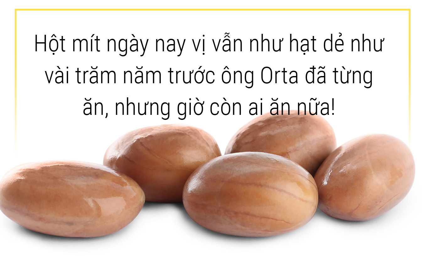 Một lịch sử thơm nức: Hãy yêu lấy mít và hạt mít - Ảnh 9.