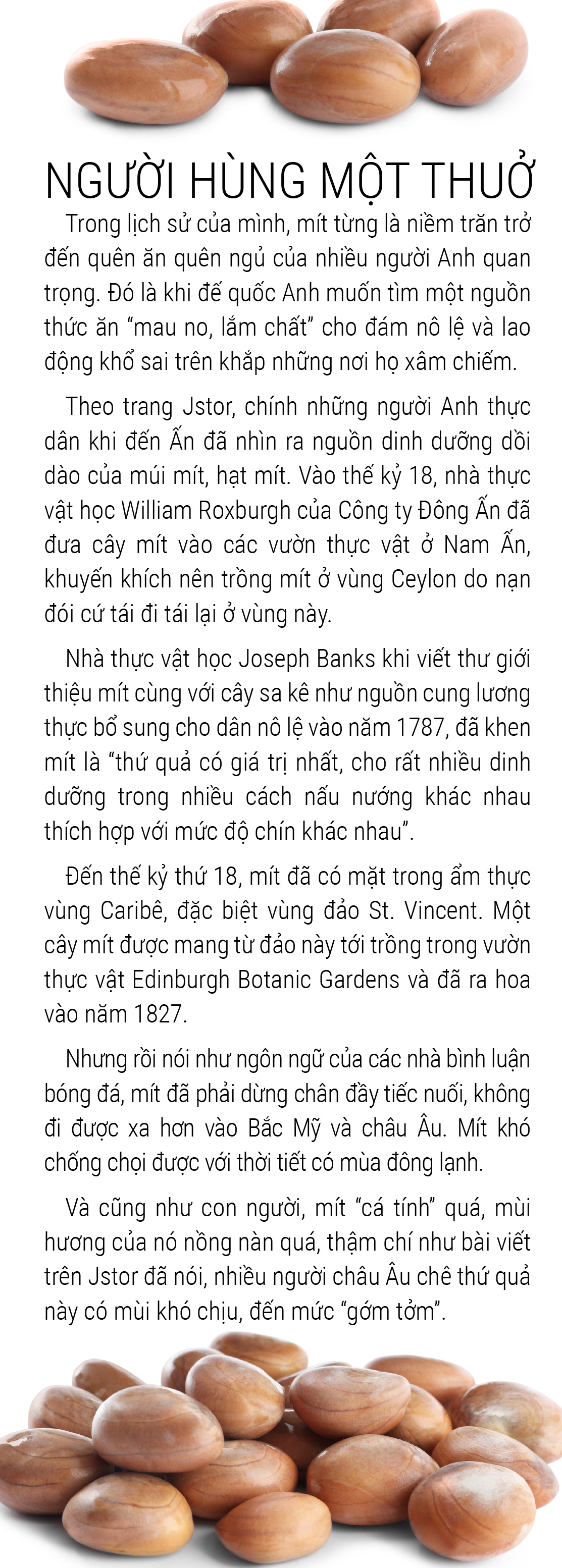 Một lịch sử thơm nức: Hãy yêu lấy mít và hạt mít - Ảnh 21.