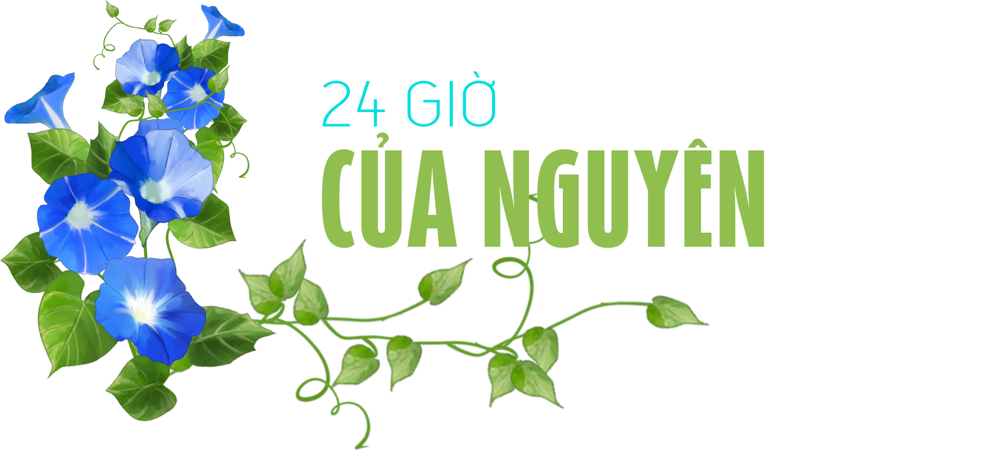 Từ mớ rau ‘hai ngàn’ của mẹ, Hải Nguyên vào đại học, hứa thành người tử tế - Ảnh 3.