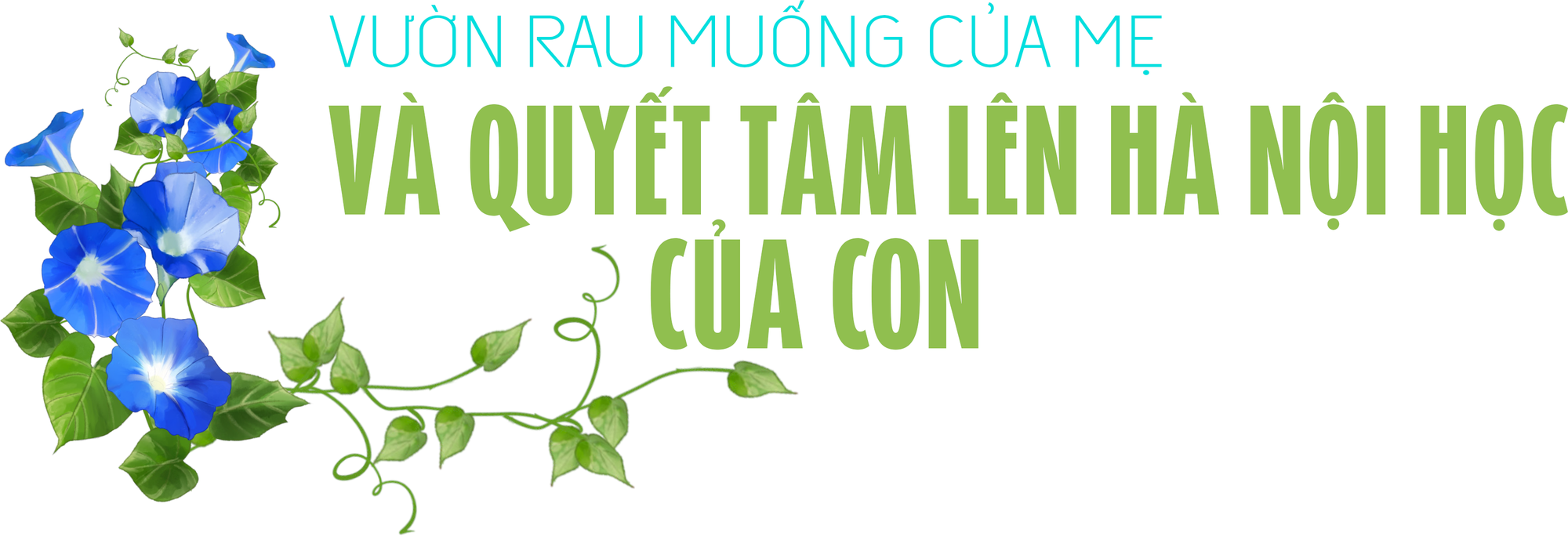 Từ mớ rau ‘hai ngàn’ của mẹ, Hải Nguyên vào đại học, hứa thành người tử tế - Ảnh 8.