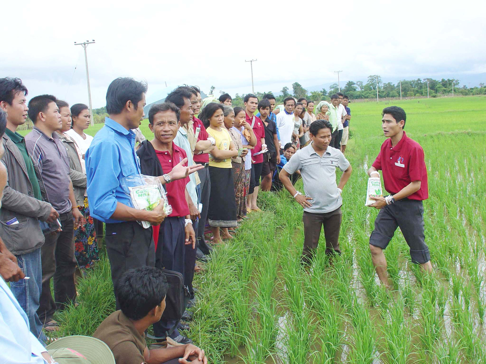 30 năm TP.HCM kết nối hàng triệu trái tim thanh niên tình nguyện - Ảnh 17.