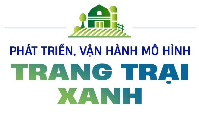 Theo đuổi chiến lược xanh, Vinamilk đầu tư như thế nào cho các trang trại? - Ảnh 1.