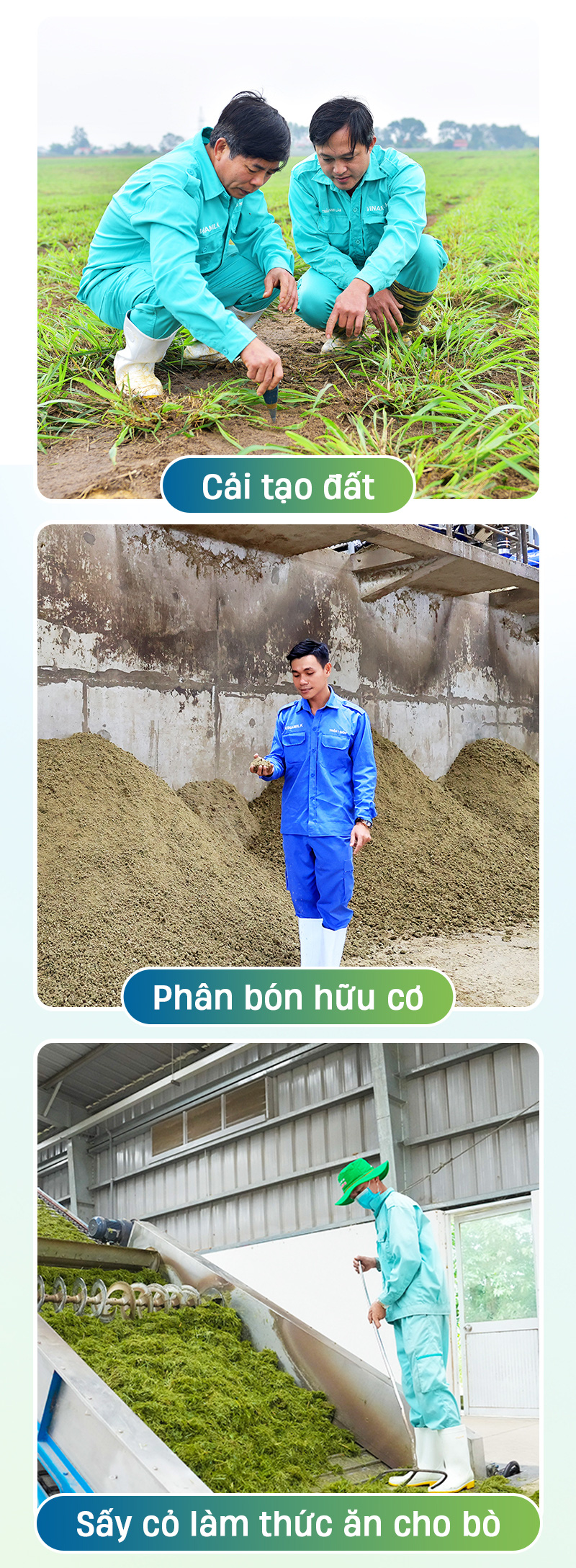 Theo đuổi chiến lược xanh, Vinamilk đầu tư như thế nào cho các trang trại? - Ảnh 4.