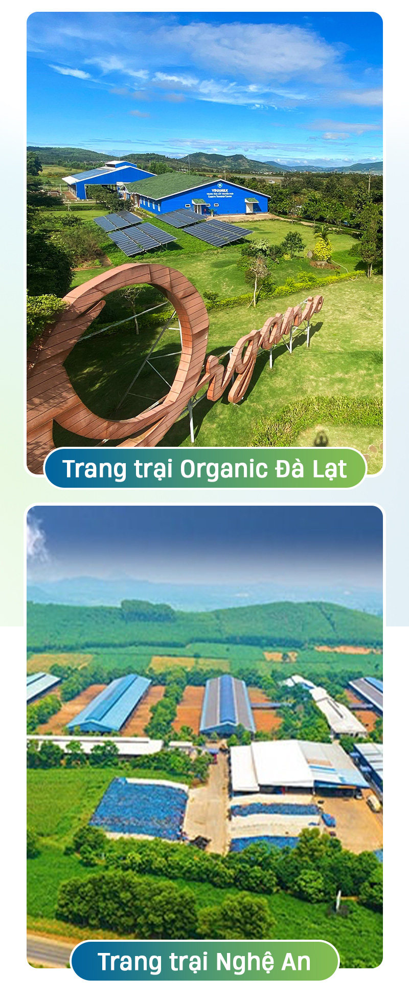 Theo đuổi chiến lược xanh, Vinamilk đầu tư như thế nào cho các trang trại? - Ảnh 8.