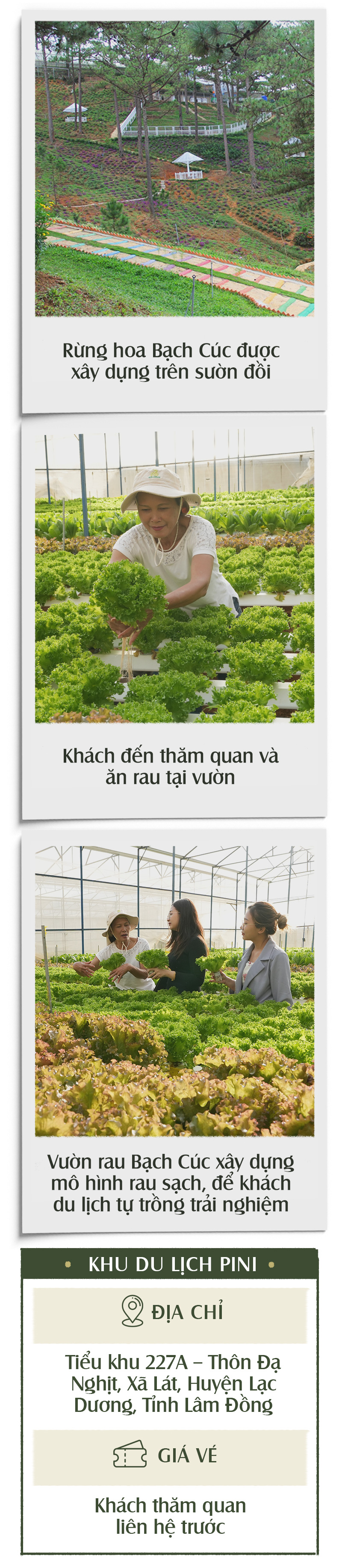 Khám phá thiên đường núi rừng tại Lạc Dương - Ảnh 37.