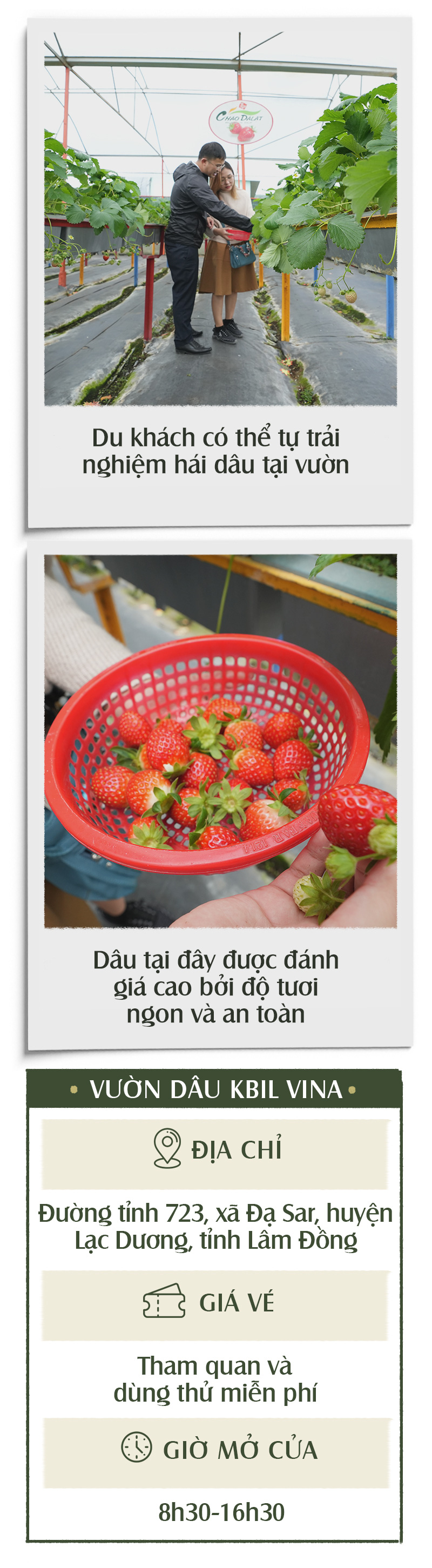 Khám phá thiên đường núi rừng tại Lạc Dương - Ảnh 39.