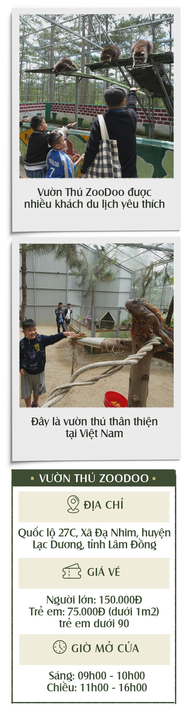 Khám phá thiên đường núi rừng tại Lạc Dương - Ảnh 25.