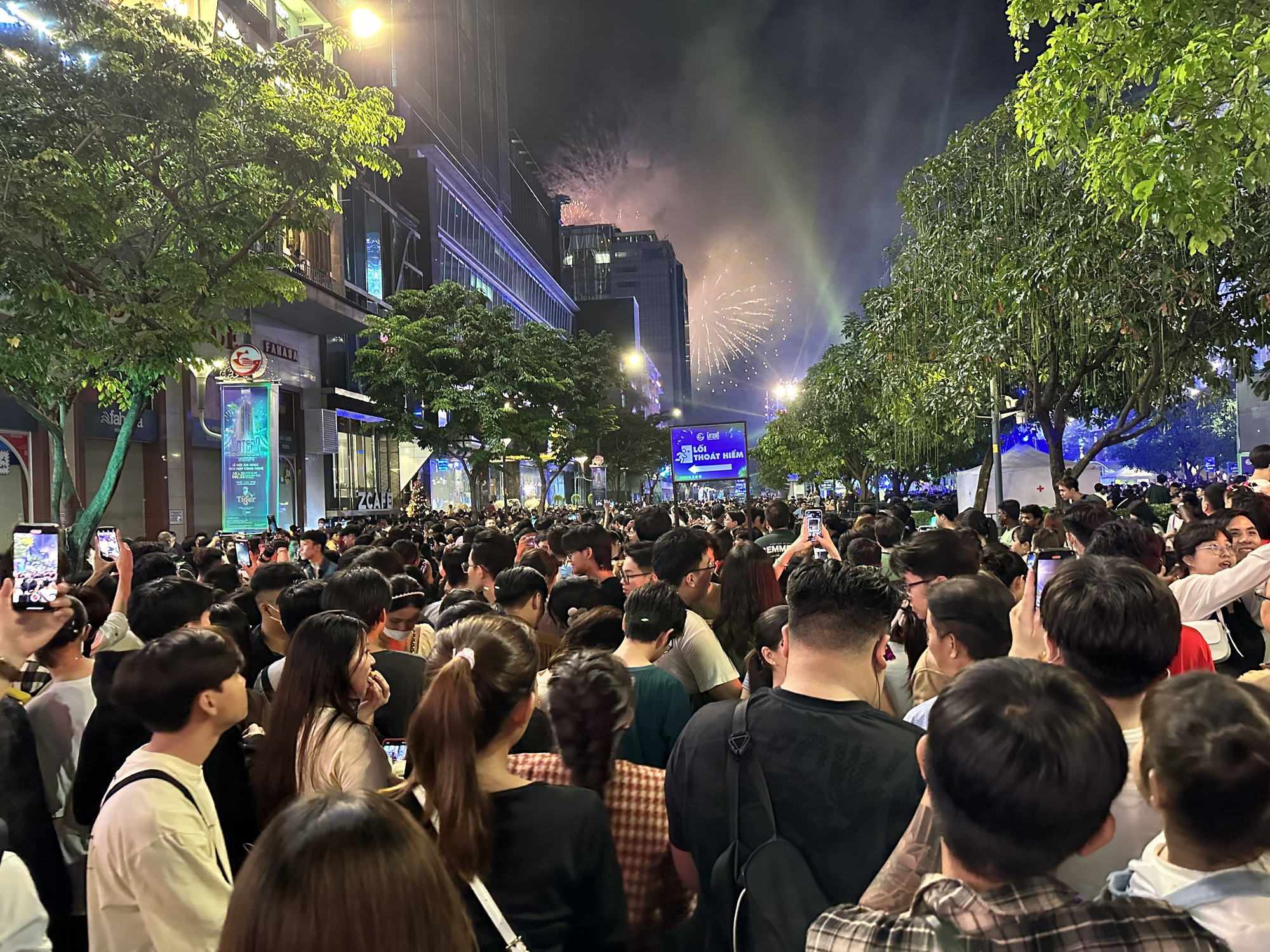 Pháo hoa rực sáng chào mừng năm mới 2024- Ảnh 4.