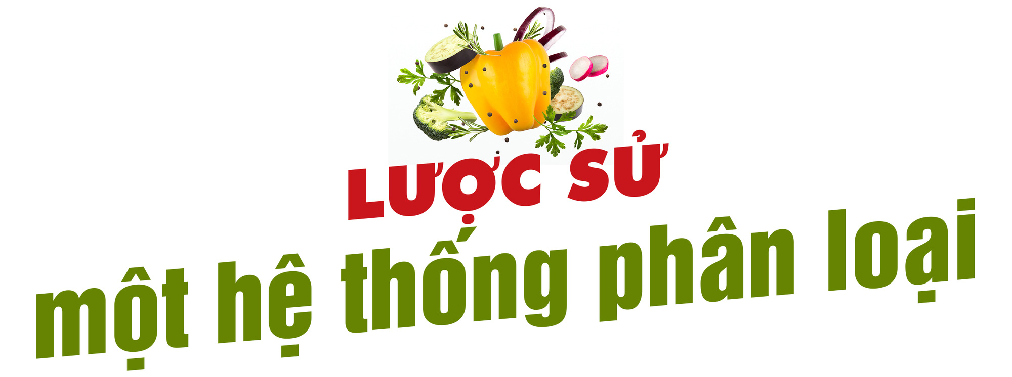 Kêu gọi giảm ăn thịt: Cuộc chiến vô vọng? - Ảnh 9.