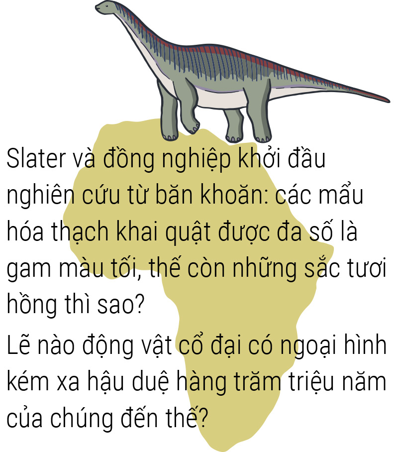 Bảng màu tiền sử có thêm gam nóng - Ảnh 4.