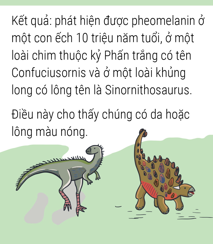 Bảng màu tiền sử có thêm gam nóng - Ảnh 5.