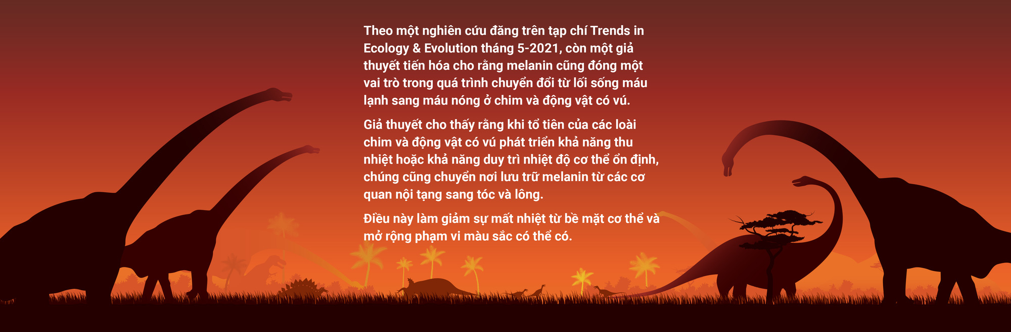 Bảng màu tiền sử có thêm gam nóng - Ảnh 13.