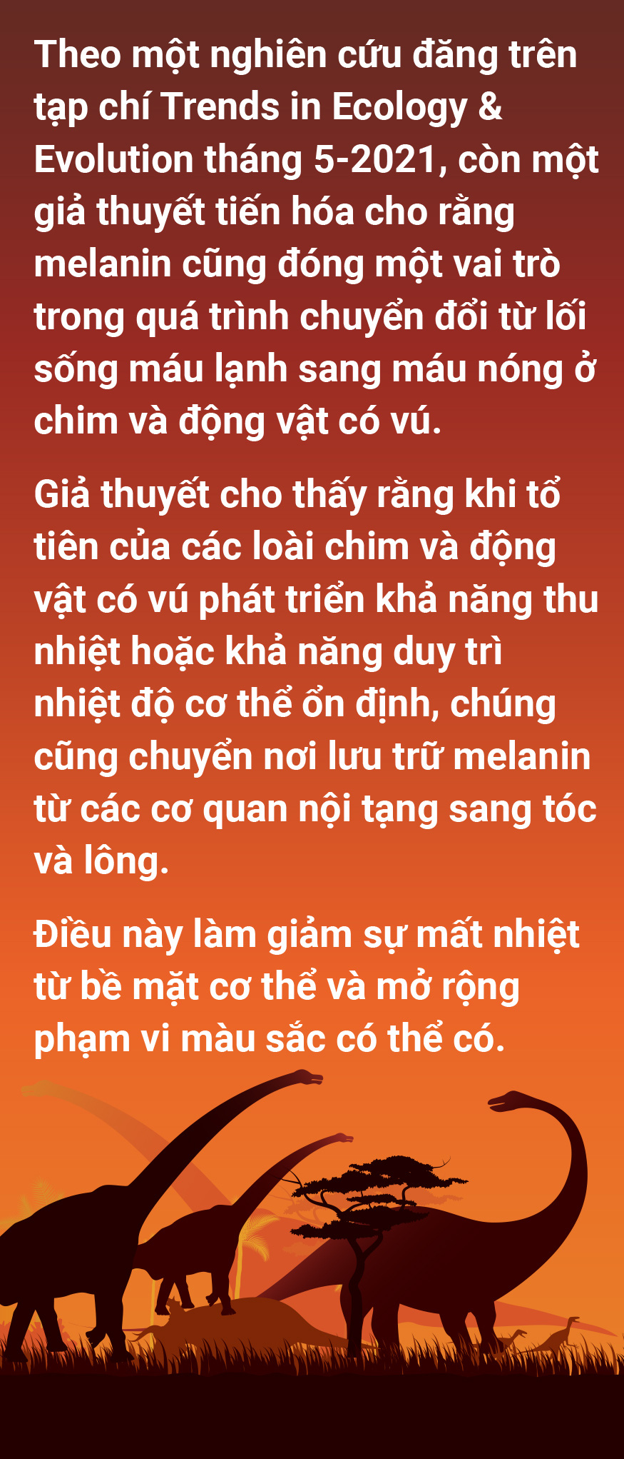 Bảng màu tiền sử có thêm gam nóng - Ảnh 13.
