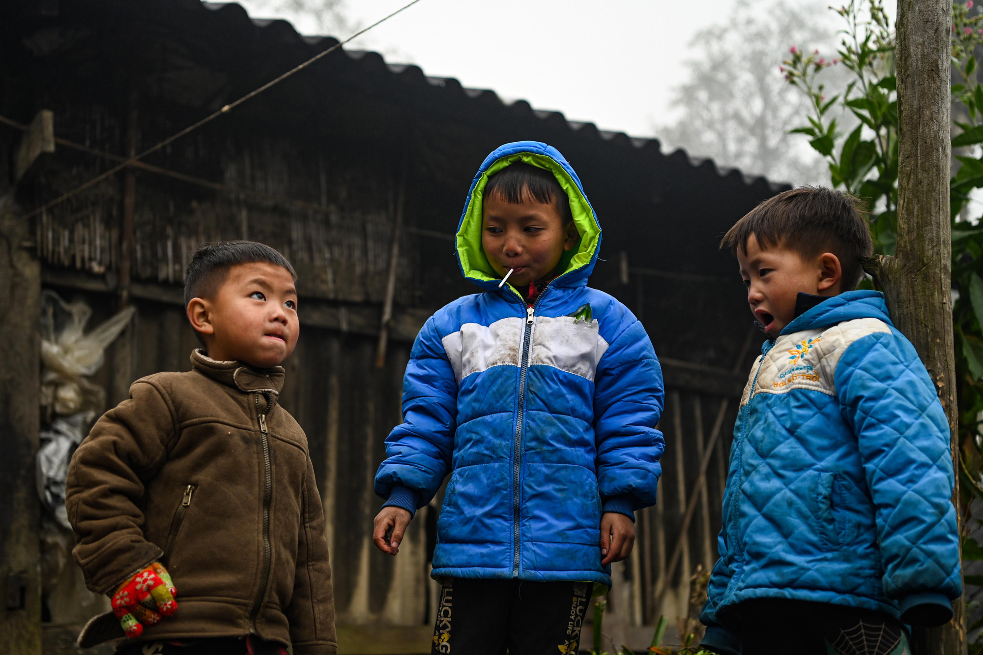 thời tiết - Ảnh 1.