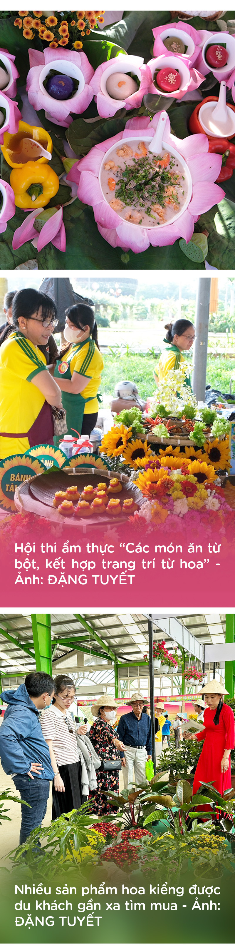 Festival hoa kiểng Sa Đéc rộn ràng hút khách - Ảnh 3.