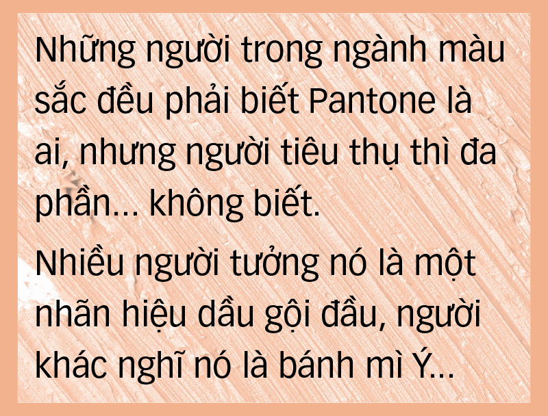 Pantone nghĩ gì khi chọn Peach Fuzz là màu của năm? - Ảnh 6.