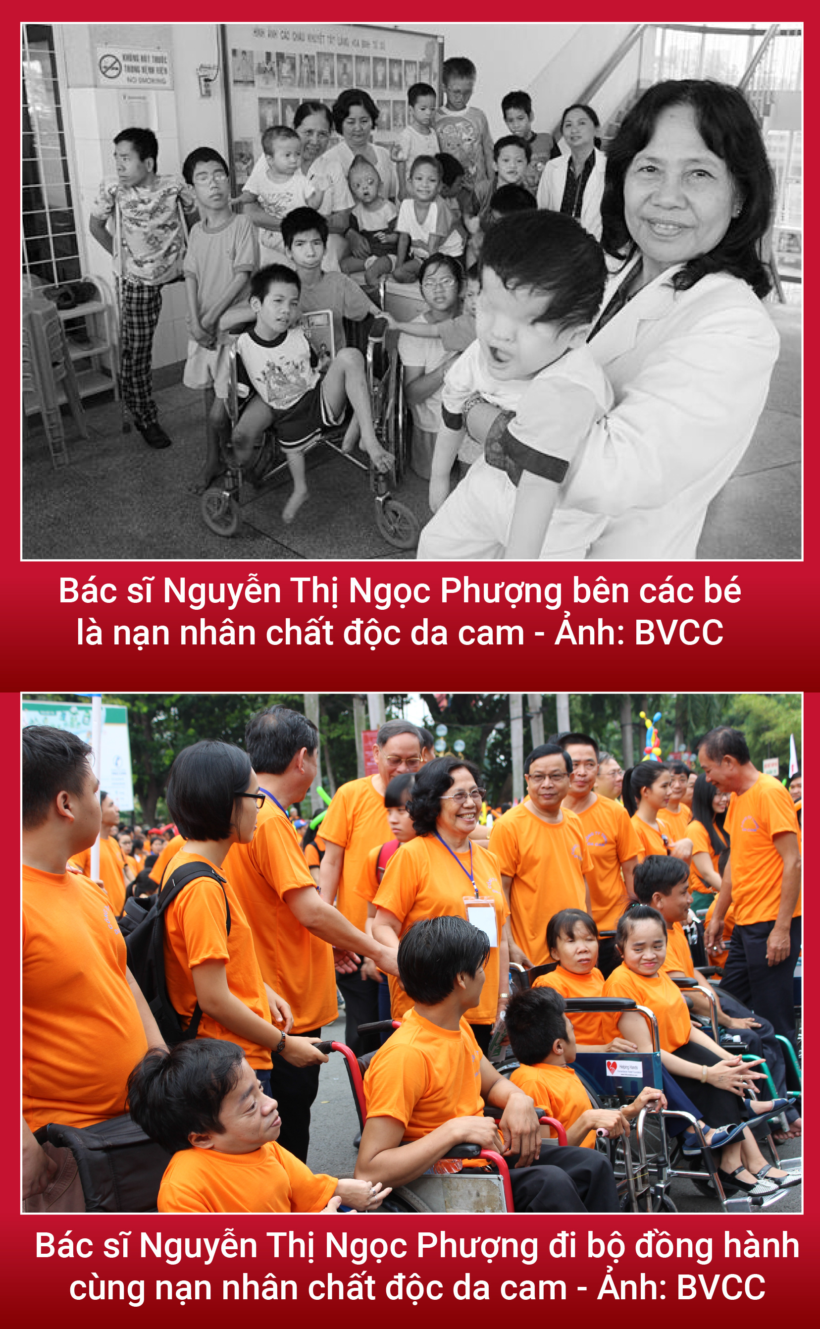 Bác sĩ Nguyễn Thị Ngọc Phượng: Người tìm ra điều bí ẩn khủng khiếp - Ảnh 8.