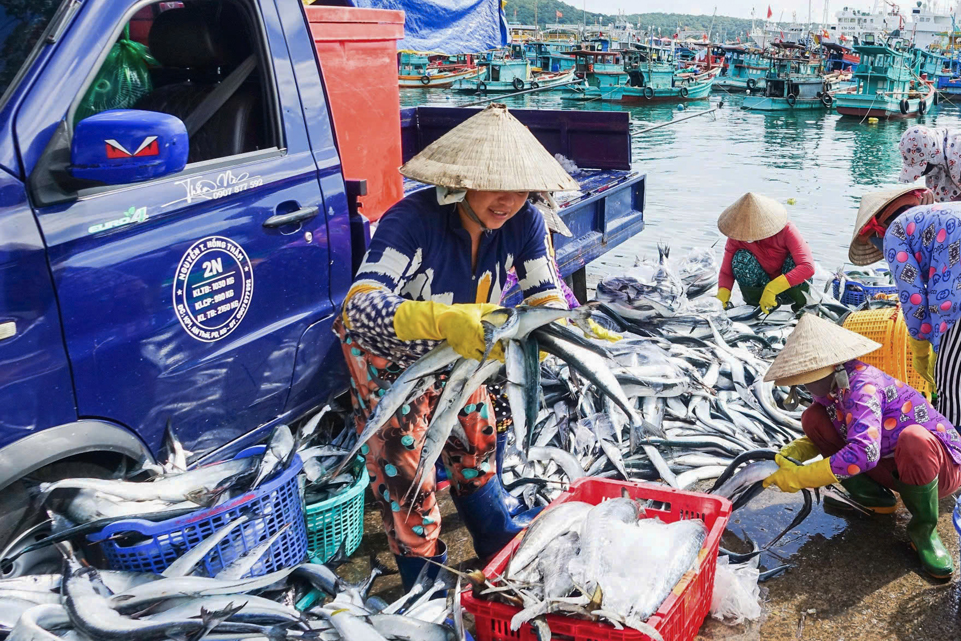 Nhịp sống rộn ràng của ngư dân ở cảng cá sầm uất nhất Phú Quốc - Ảnh 4.