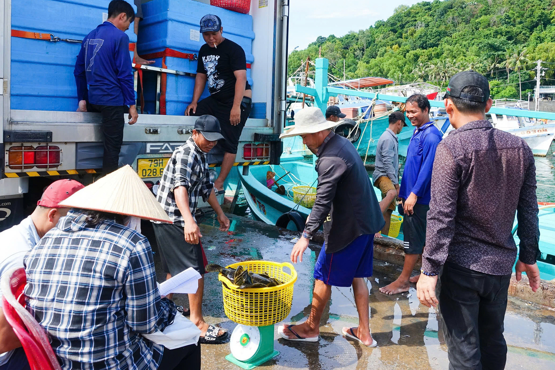 Nhịp sống rộn ràng của ngư dân ở cảng cá sầm uất nhất Phú Quốc - Ảnh 9.