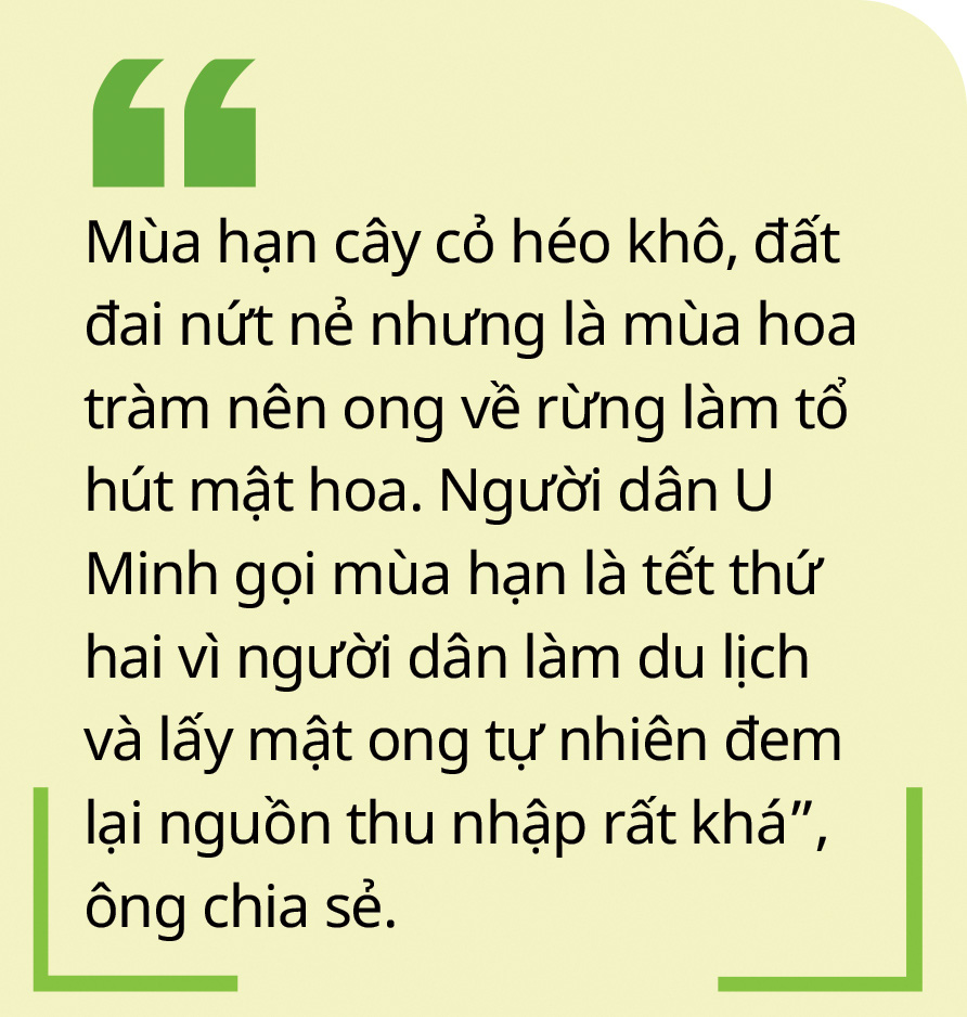 Những người thợ rừng hiện đại ở rừng U Minh - Ảnh 4.