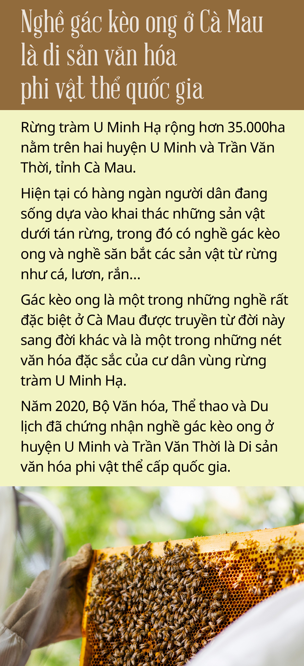 Những người thợ rừng hiện đại ở rừng U Minh - Ảnh 9.