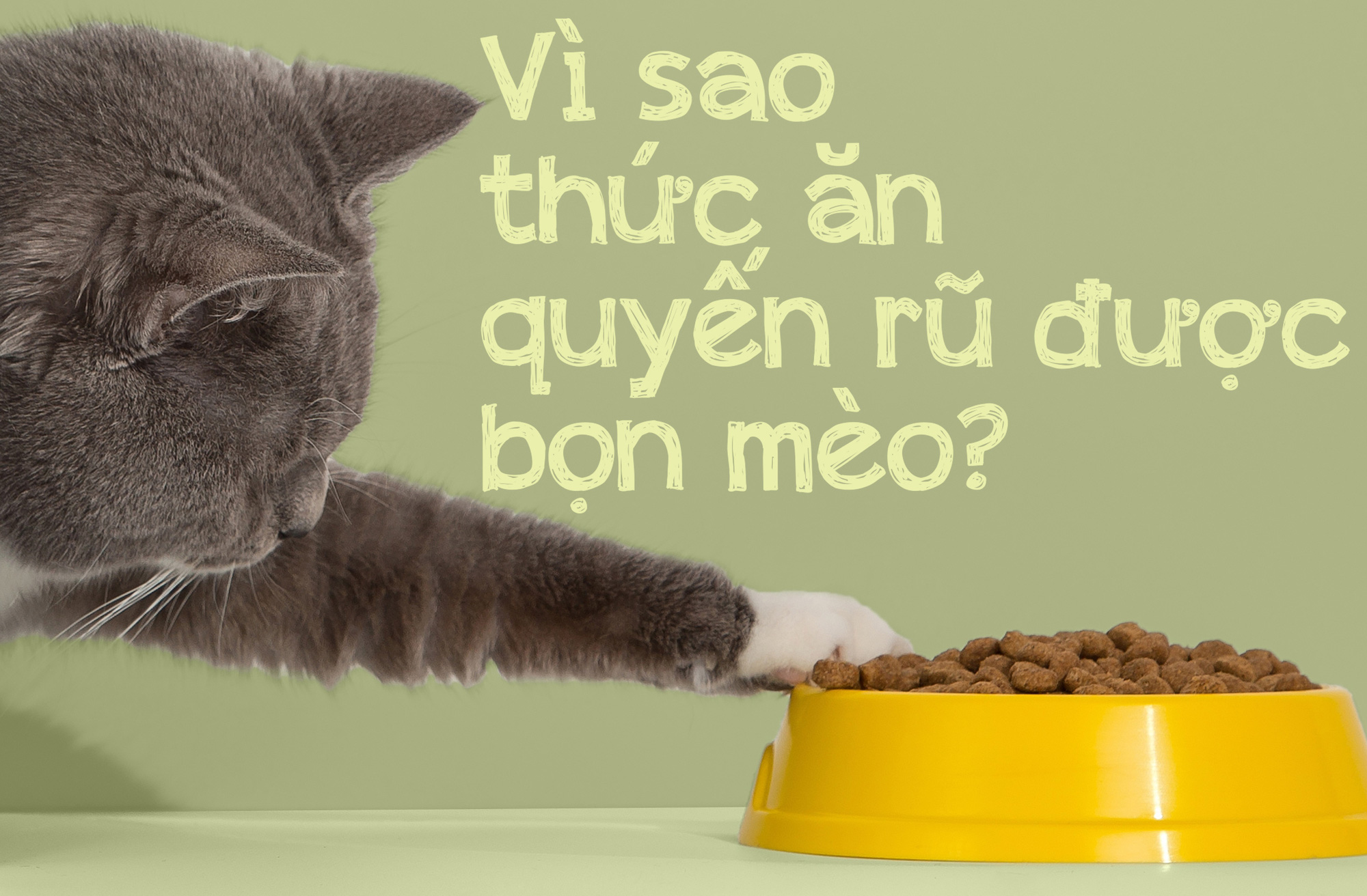 Thức ăn chó mèo: Một thành công khác của ngành tiếp thị - Ảnh 27.