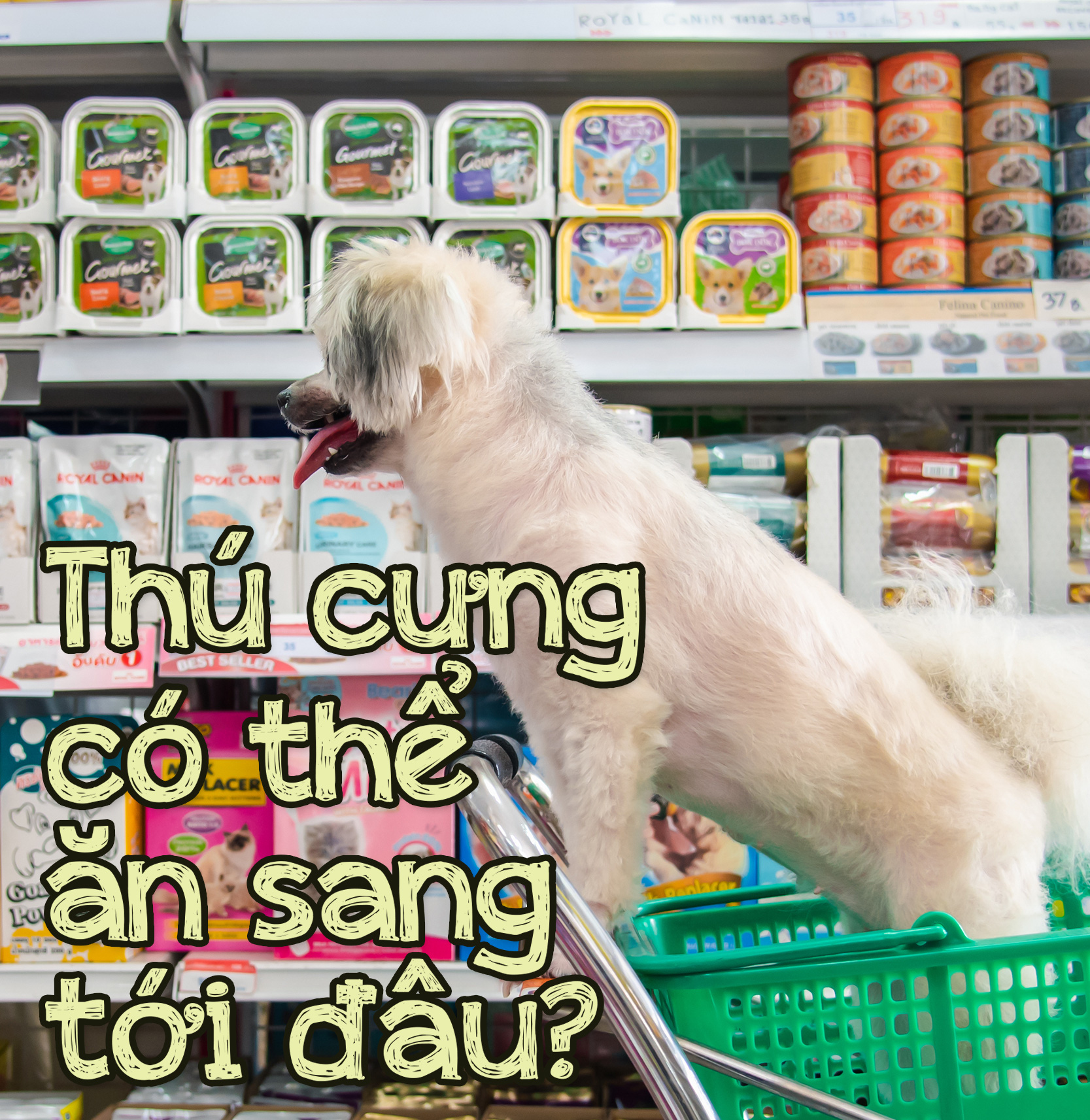 Thức ăn chó mèo: Một thành công khác của ngành tiếp thị - Ảnh 31.