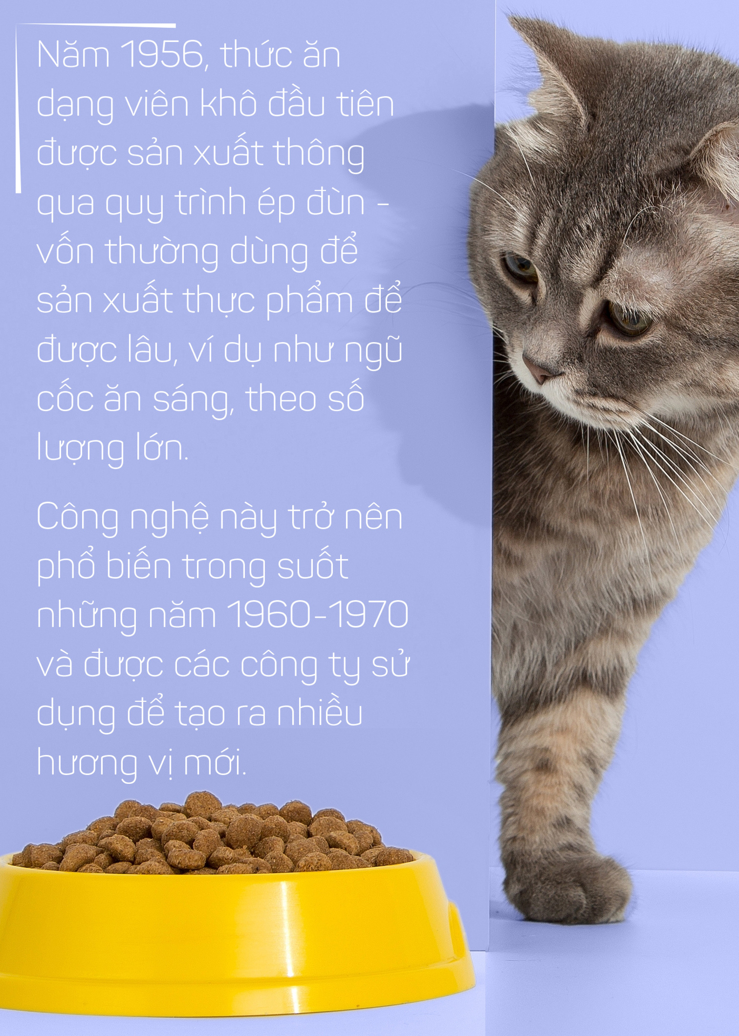 Thức ăn chó mèo: Một thành công khác của ngành tiếp thị - Ảnh 9.