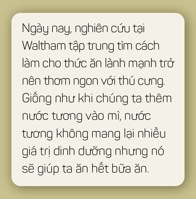 Thức ăn chó mèo: Một thành công khác của ngành tiếp thị - Ảnh 21.