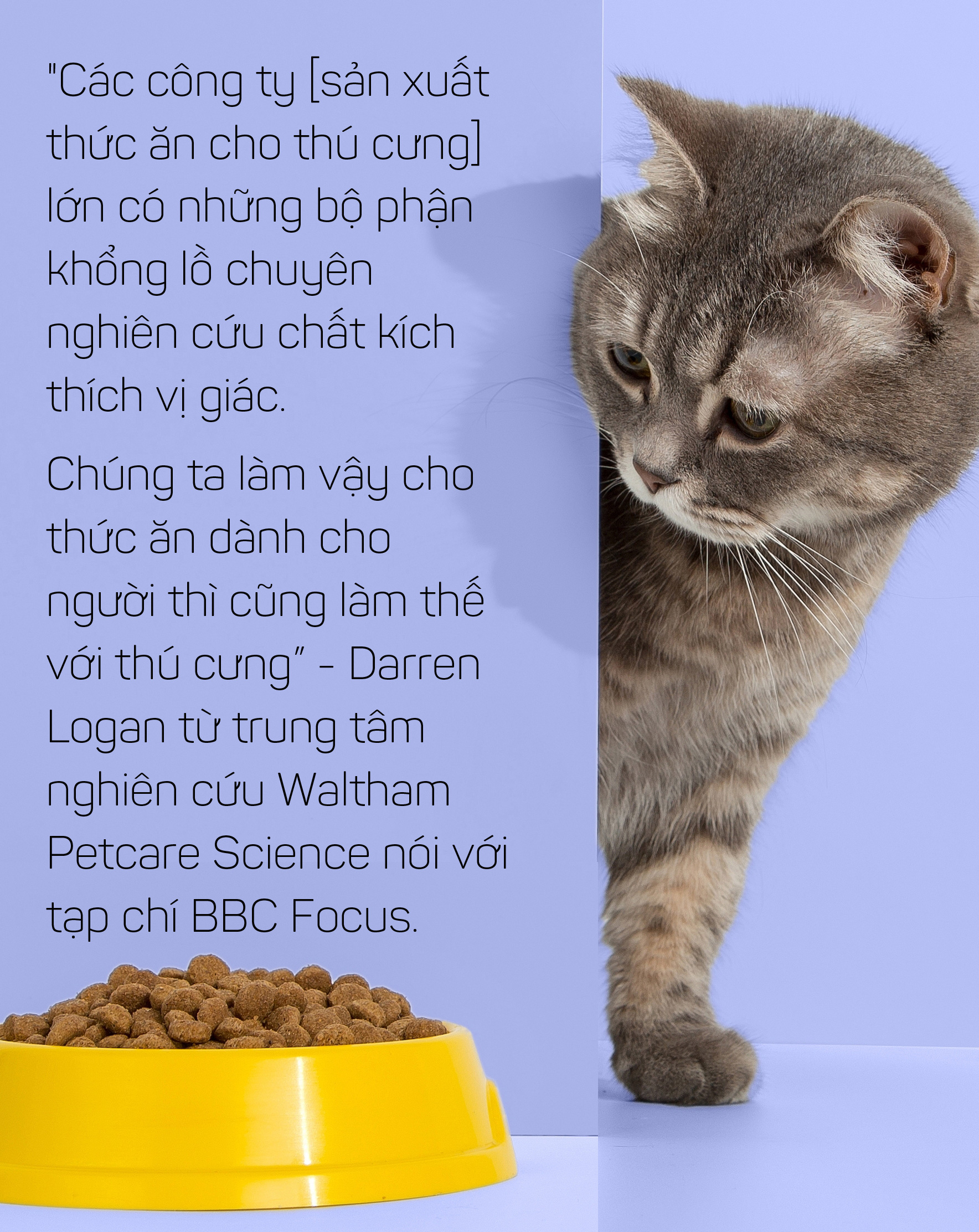 Thức ăn chó mèo: Một thành công khác của ngành tiếp thị - Ảnh 28.
