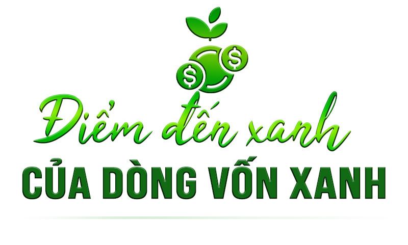 Doanh nhân Đặng gia và triết lý tâm xanh truyền đời - Ảnh 9.