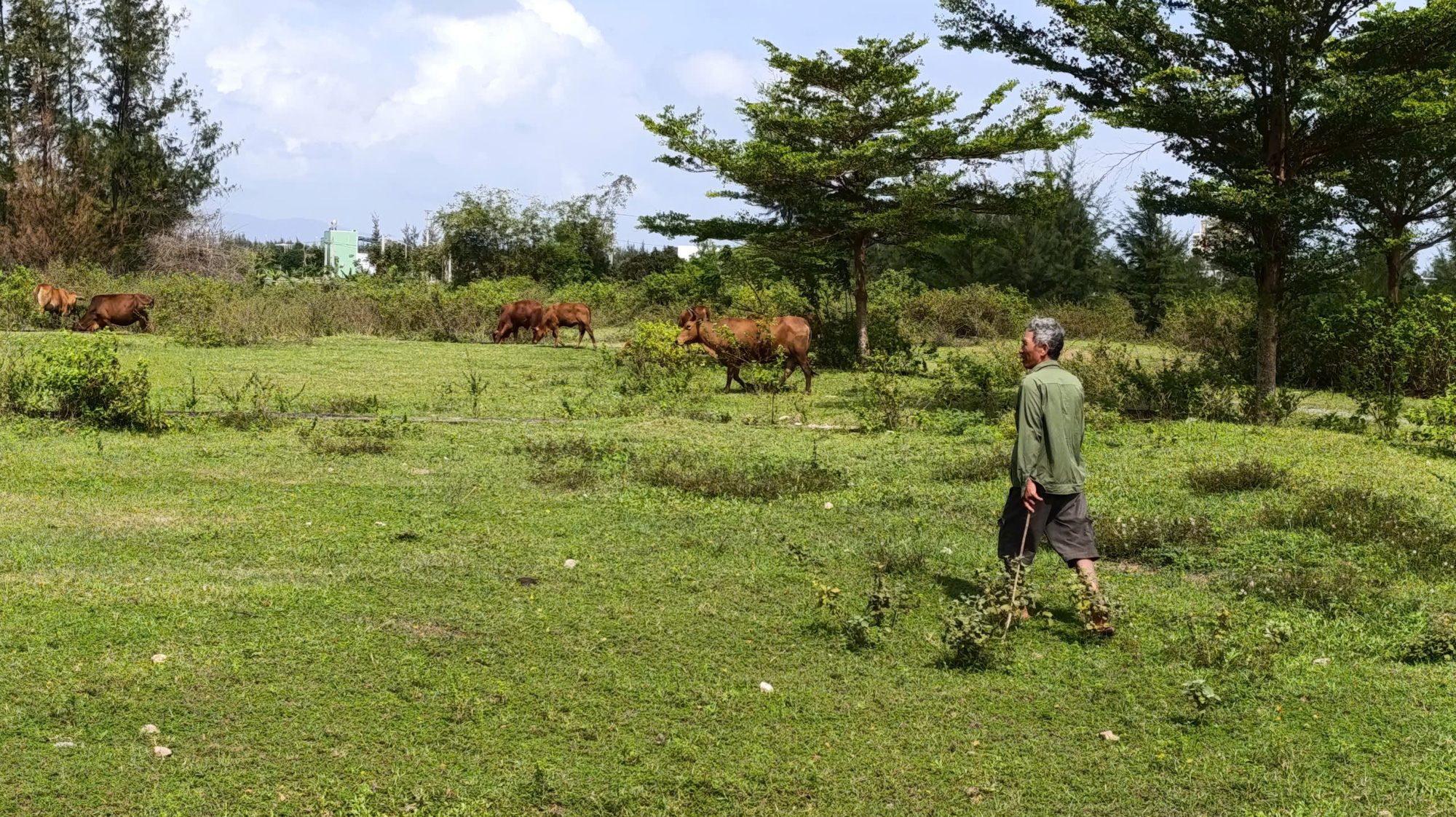 Tin tức sáng 30-6: Bé gái tổn thương gan, suy hô hấp nặng vì sốc sốt xuất huyết - Ảnh 7.