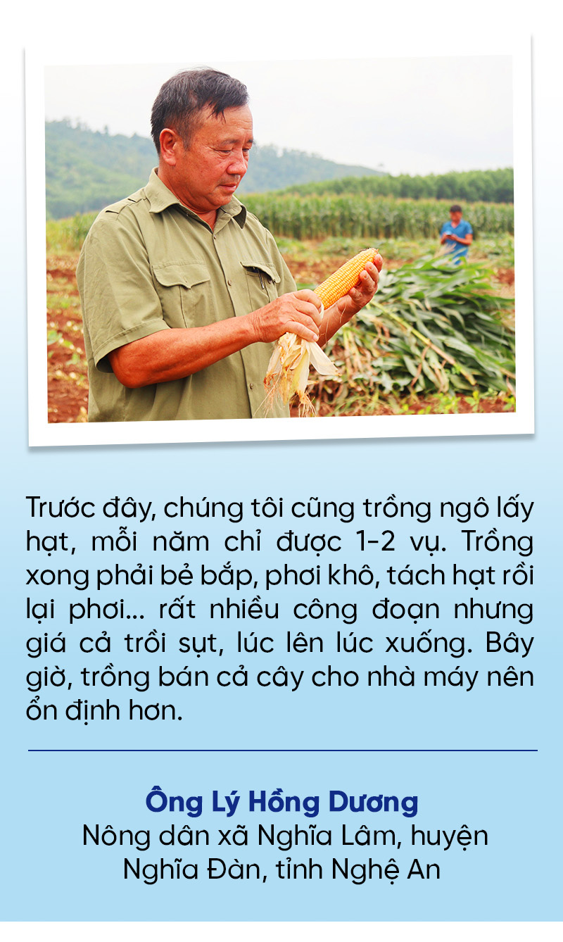 Khám phá ”Nhà máy Xanh” TH true MILK: Từ đồng cỏ xanh đến ly sữa sạch - Ảnh 4.