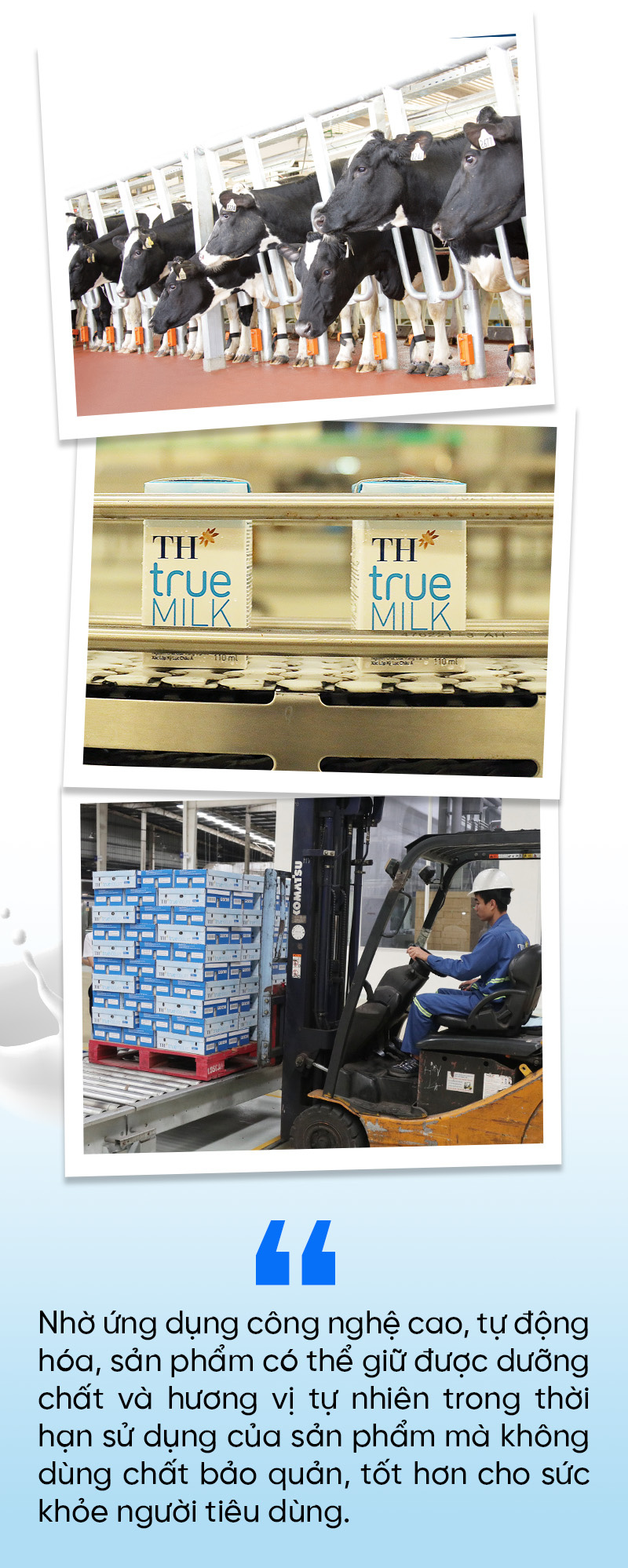 Khám phá ”Nhà máy Xanh” TH true MILK: Từ đồng cỏ xanh đến ly sữa sạch - Ảnh 8.