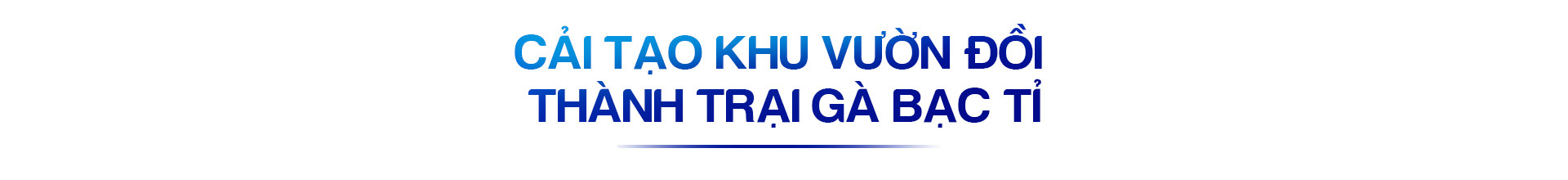 Sức trẻ dấn thân của tuổi trẻ Quảng Ninh - Ảnh 11.