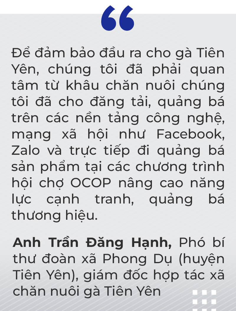 Sức trẻ dấn thân của tuổi trẻ Quảng Ninh - Ảnh 15.