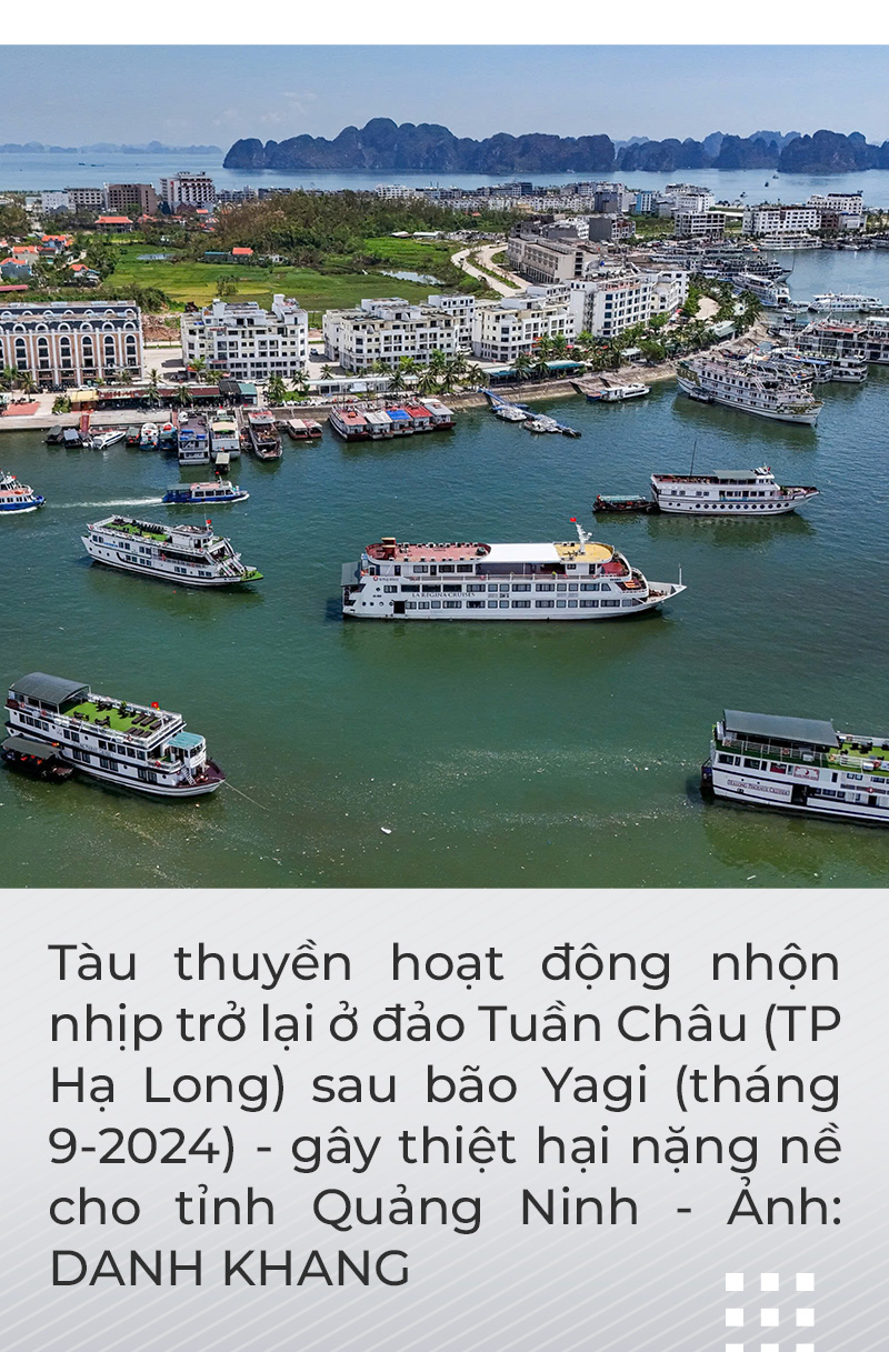 Sức trẻ dấn thân của tuổi trẻ Quảng Ninh - Ảnh 3.
